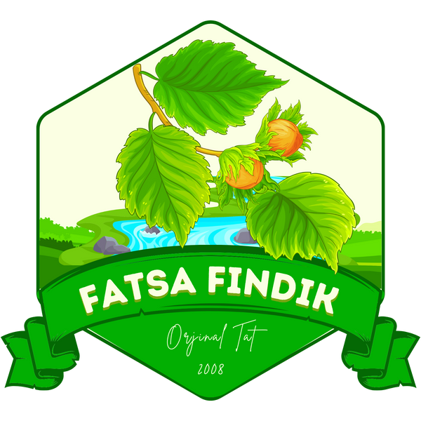 Fatsa Fındık